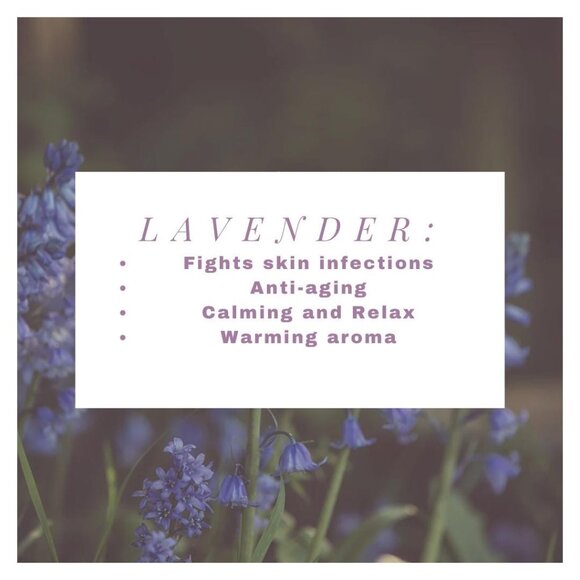 Lavendar Latte / All Natural Herbal Lavendar Healing Salve‎ - Picture 2 of 3